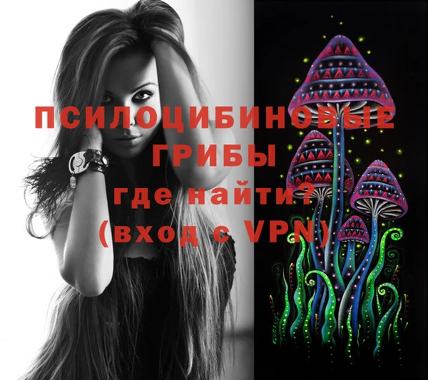 стаф Лихославль
