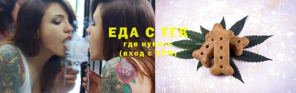 индика Ладушкин