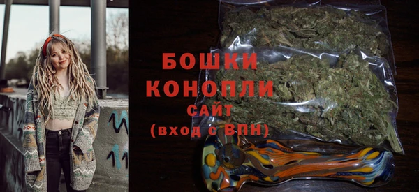 молекула духа Анива