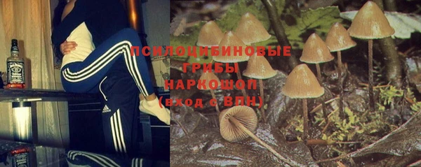 стаф Лихославль