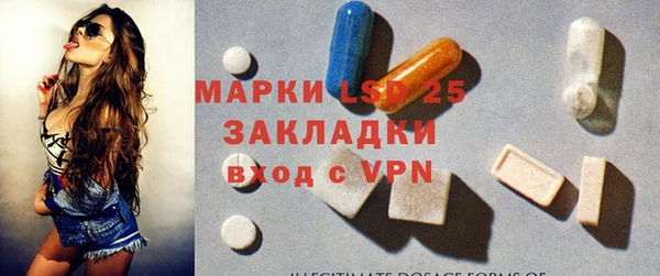 индика Ладушкин