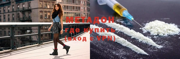 индика Ладушкин