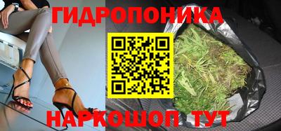 марки lsd Гусиноозёрск