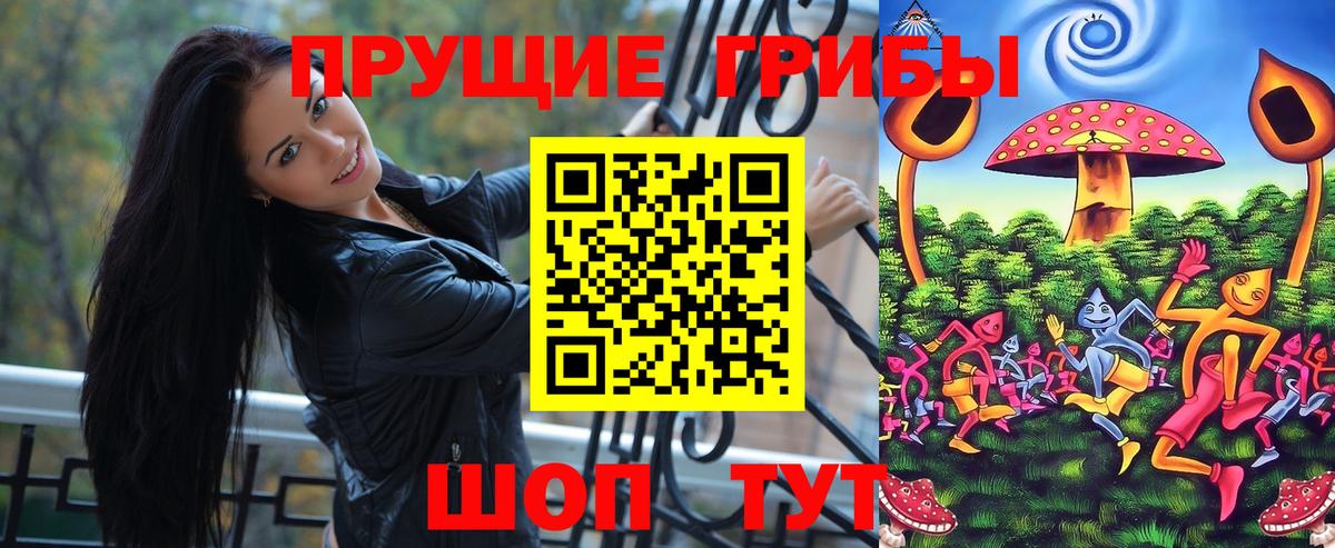 Галлюциногенные грибы Magic Shrooms  Псилоцибиновые грибы ЛСД  Шатура  Вход с VPN 